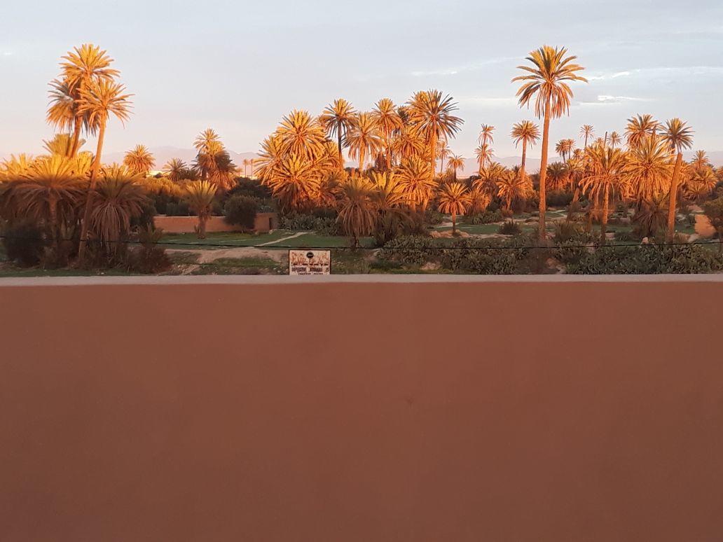 Riad Janoub Tiznit Luaran gambar